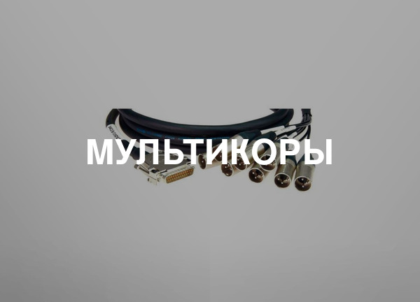 Мультикоры